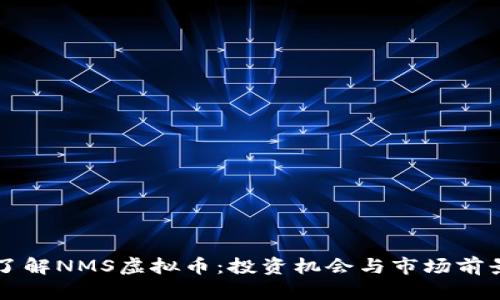 深入了解NMS虚拟币：投资机会与市场前景分析