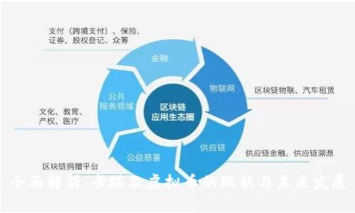 全面解析：卡塔尔虚拟币的现状与未来发展