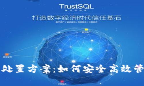 全面解读虚拟币处置方案：如何安全高效管理您的数字资产