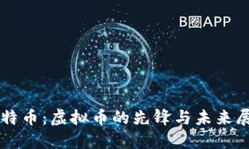 比特币：虚拟币的先锋与未来展望