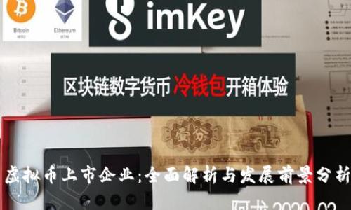 虚拟币上市企业：全面解析与发展前景分析