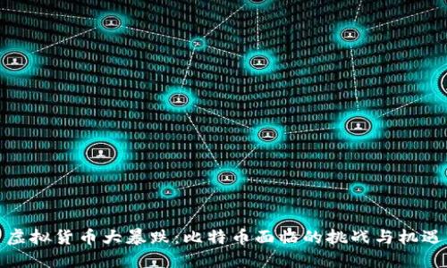 虚拟货币大暴跌：比特币面临的挑战与机遇