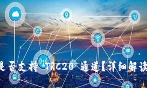 TPWallet 是否支持 TRC20 通道？详细解读与使用指南