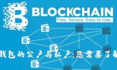 虚拟币钱包的公户与私户：您需要了解的一切