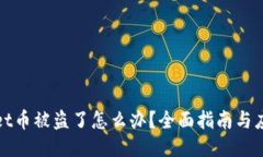 TPWallet币被盗了怎么办？全面指南与应对措施