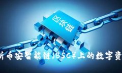 TPWallet：全面解析币安智能链（BSC）上的数字资产