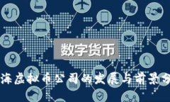 上海虚拟币公司的发展与前景分析
