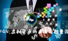 鸽子币PGN：虚拟货币的未来与投资潜力分析