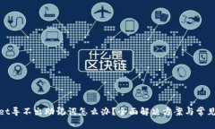 : tpwallet导不出助记词怎么办？全面解决方案与常