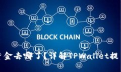 tpwallet提币后资金去哪了？详解TPWallet提币流程与