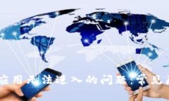 解决TPWallet应用无法进入的问题：常见原因与解决