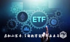虚拟山塞币：了解数字货币的未来与潜力