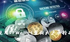 如何使用TPWallet查询大户币持有情况