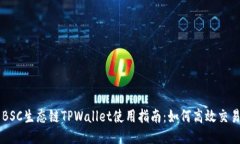 BSC生态链TPWallet使用指南：如何高效交易