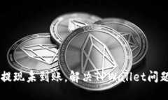 币安交易所提现未到账，解决TPWallet问题的全面指