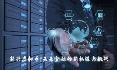 新兴虚拟币：未来金融的新机遇与挑战