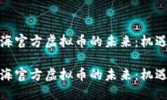 探索上海官方虚拟币的未来：机遇与挑战探索上