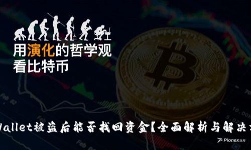 TPWallet被盗后能否找回资金？全面解析与解决方案
