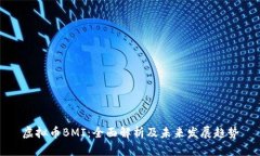 虚拟币BMI：全面解析及未来发展趋势