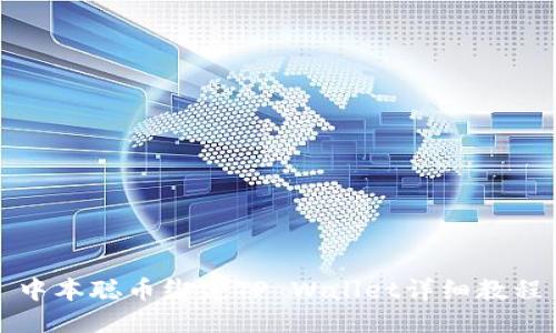 中本聪币绑定TP Wallet详细教程